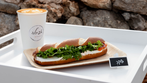 אביולה- מצפה אביה