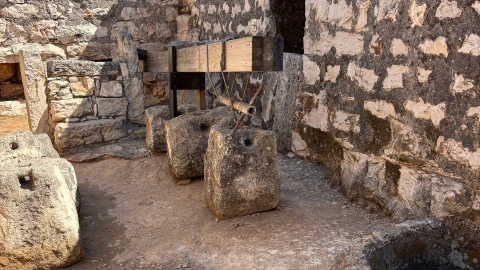 גן לאומי הר גריזים