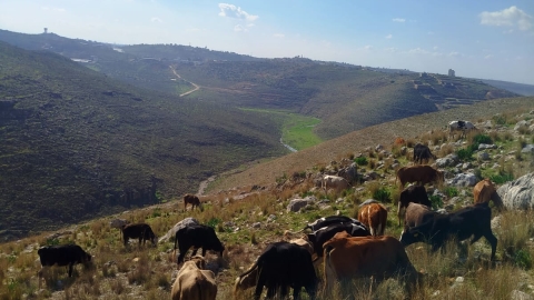 חוות מעוז שאול