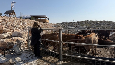 חוות מעוז שאול