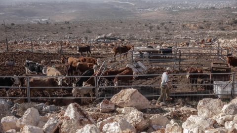 חוות מעוז שאול