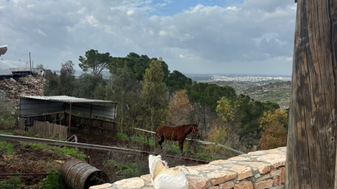 חוות אל נווה