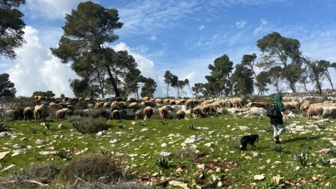חוות אל נווה