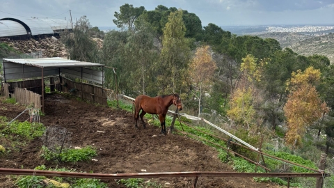 חוות אל נווה