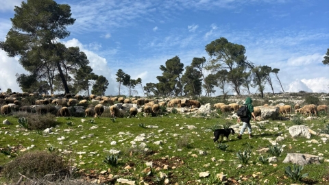 חוות אל נווה