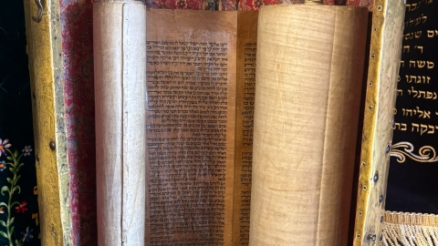  חוות מעוז צבי