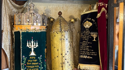  חוות מעוז צבי