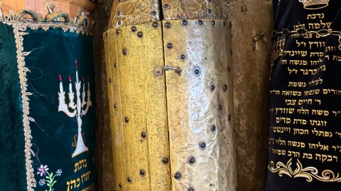  חוות מעוז צבי